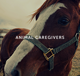 animal-caregivers-img